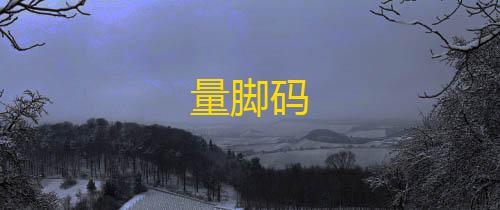 暗区突围辅助网量脚码